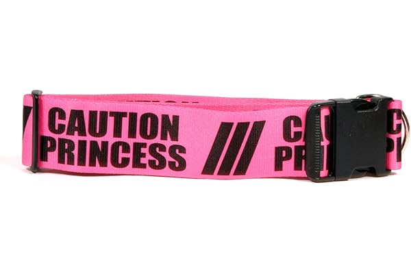 08 cm 小心公主狗项圈 5.08 cm 宽,适合颈部 35.56 cm 至 50.